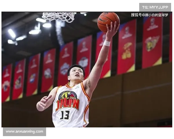 哈达迪为何不退役：坚守篮球梦与挑战自我的背后故事